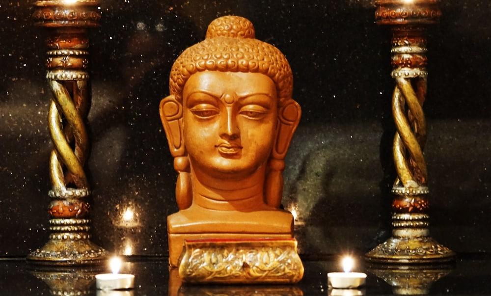 Taj Чандигарх Экстерьер фото The Buddha